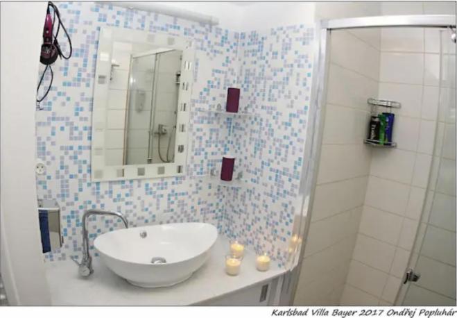 Apartmán Vila Bayer Karlovy Vary Dış mekan fotoğraf