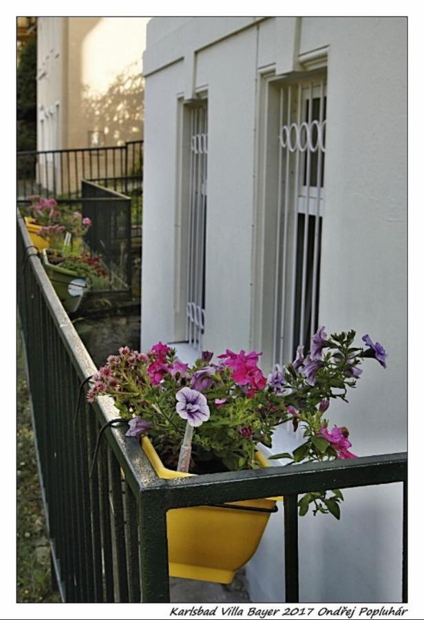 Apartmán Vila Bayer Karlovy Vary Dış mekan fotoğraf
