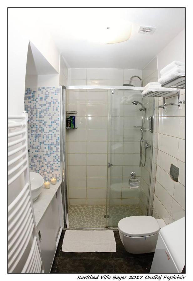 Apartmán Vila Bayer Karlovy Vary Dış mekan fotoğraf
