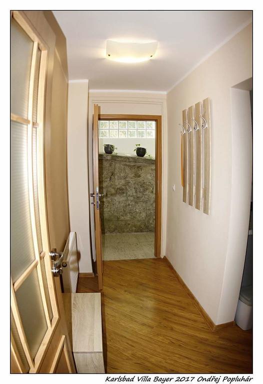 Apartmán Vila Bayer Daire Karlovy Vary Dış mekan fotoğraf