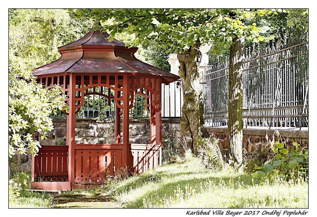 Apartmán Vila Bayer Karlovy Vary Dış mekan fotoğraf