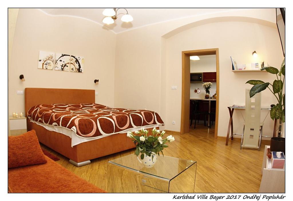 Apartmán Vila Bayer Karlovy Vary Dış mekan fotoğraf